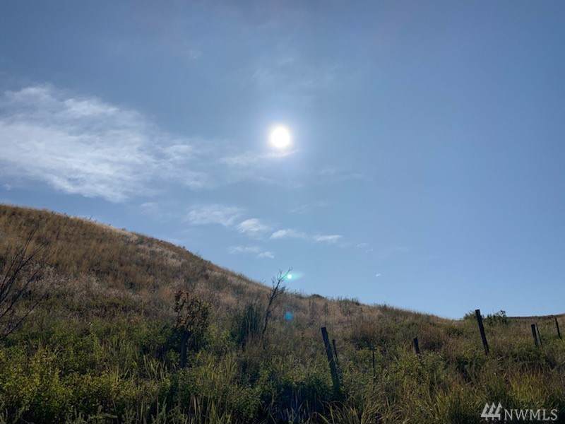 0 Tbd Pine Creek Rd - Photo 1