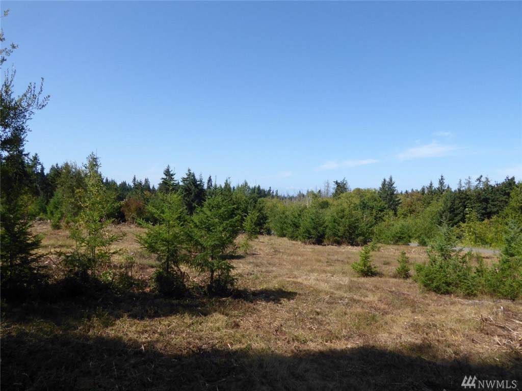 9999 Sutter Rd - Photo 1