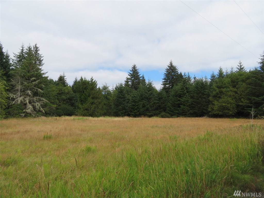 1021 Pe Ell Mcdonald Rd - Photo 1