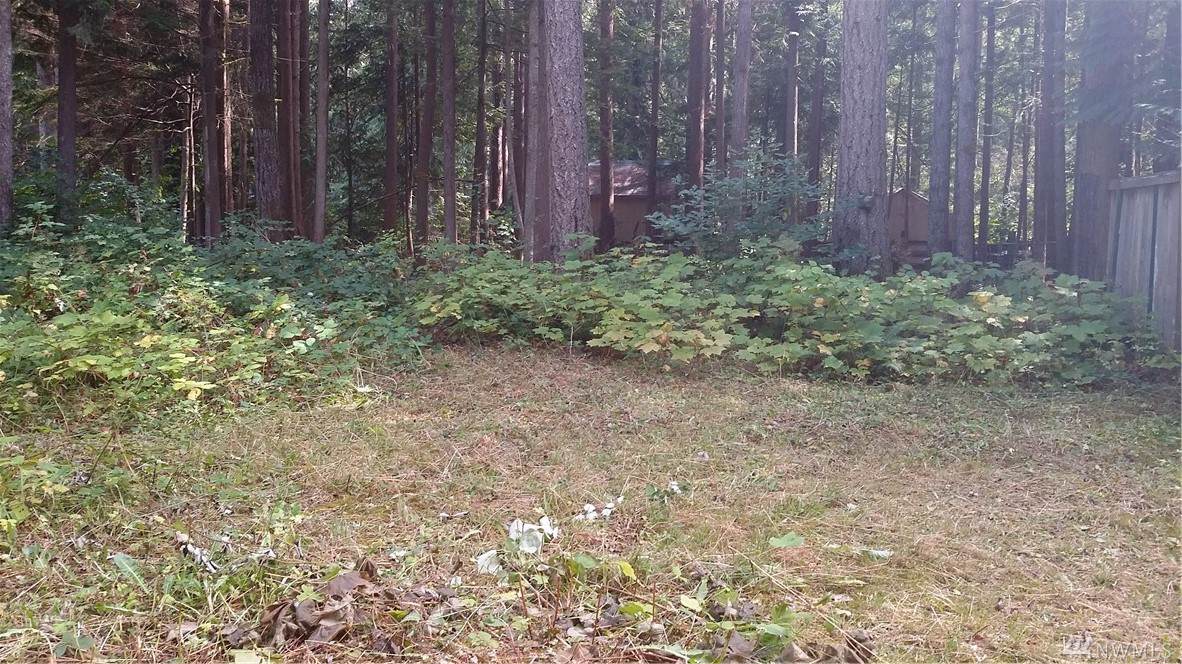 41986 Cedar St - Photo 1