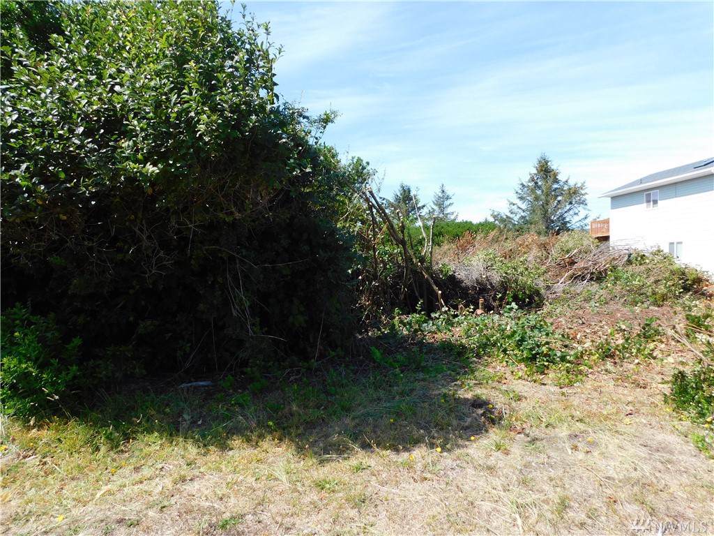 403 Ocean Shores Blvd - Photo 1