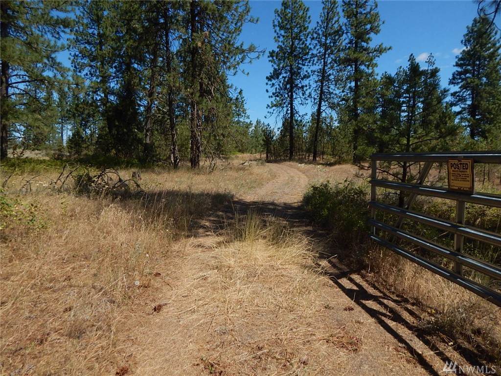 26065 Bobcat Trail - Photo 1