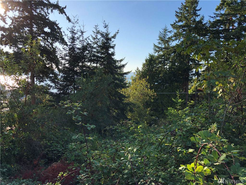 7 Camano Dr - Photo 1