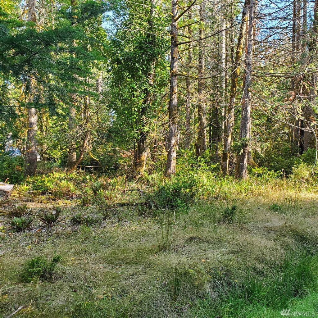 132 Barnacle Blvd - Photo 1