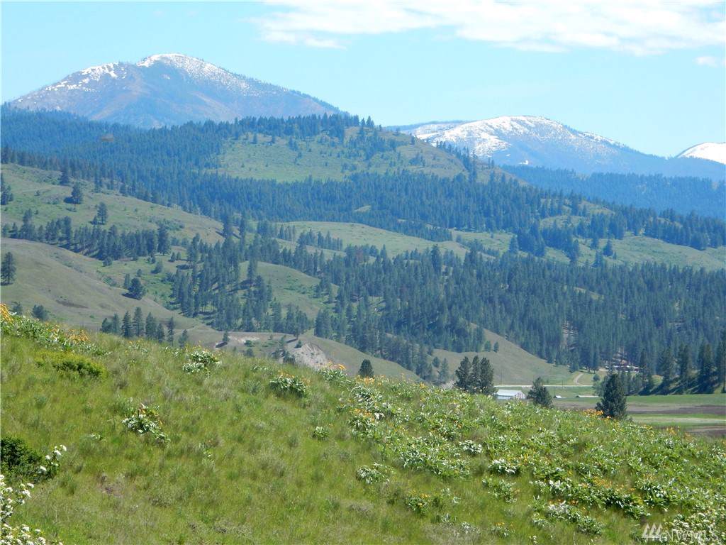 0-TBD Customs Rd - Photo 1