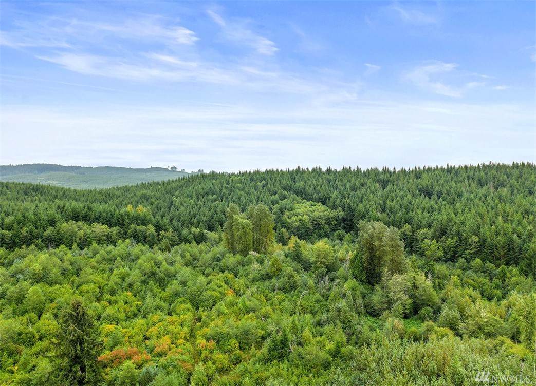 259 Sand Creek Rd - Photo 1