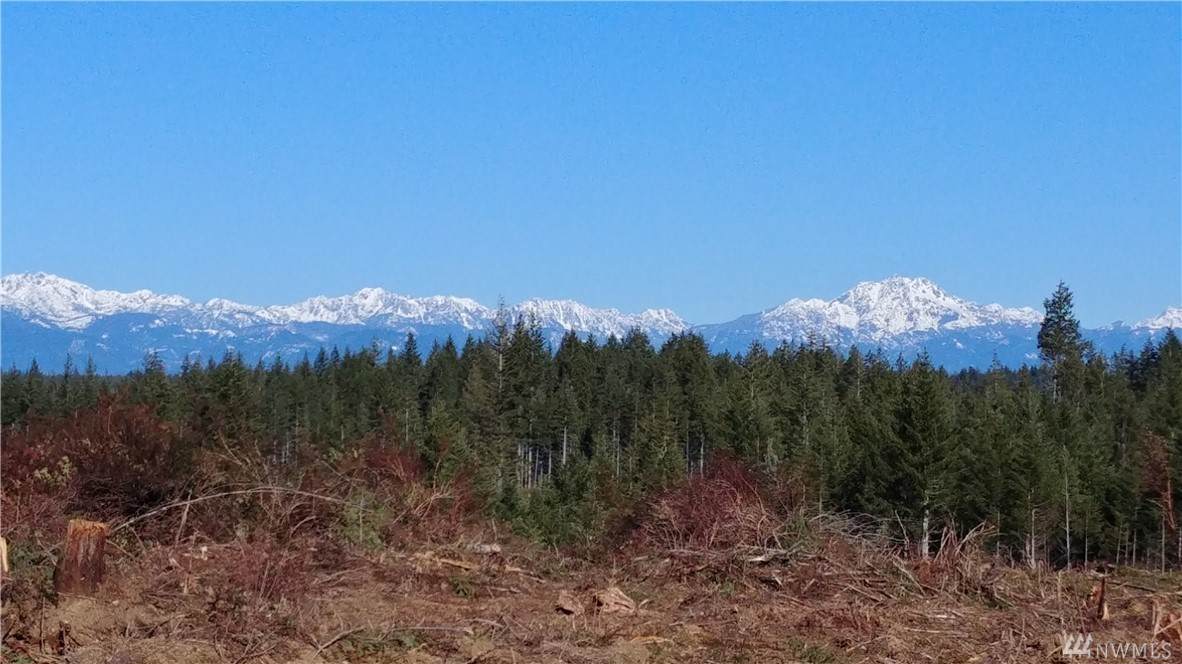 0-lot1 Benson Ridge Rd - Photo 1