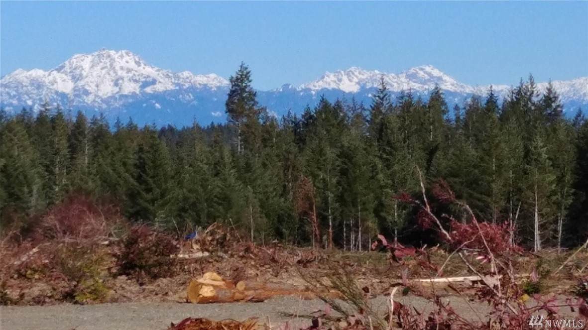 0-lot2 Benson Ridge Rd - Photo 1