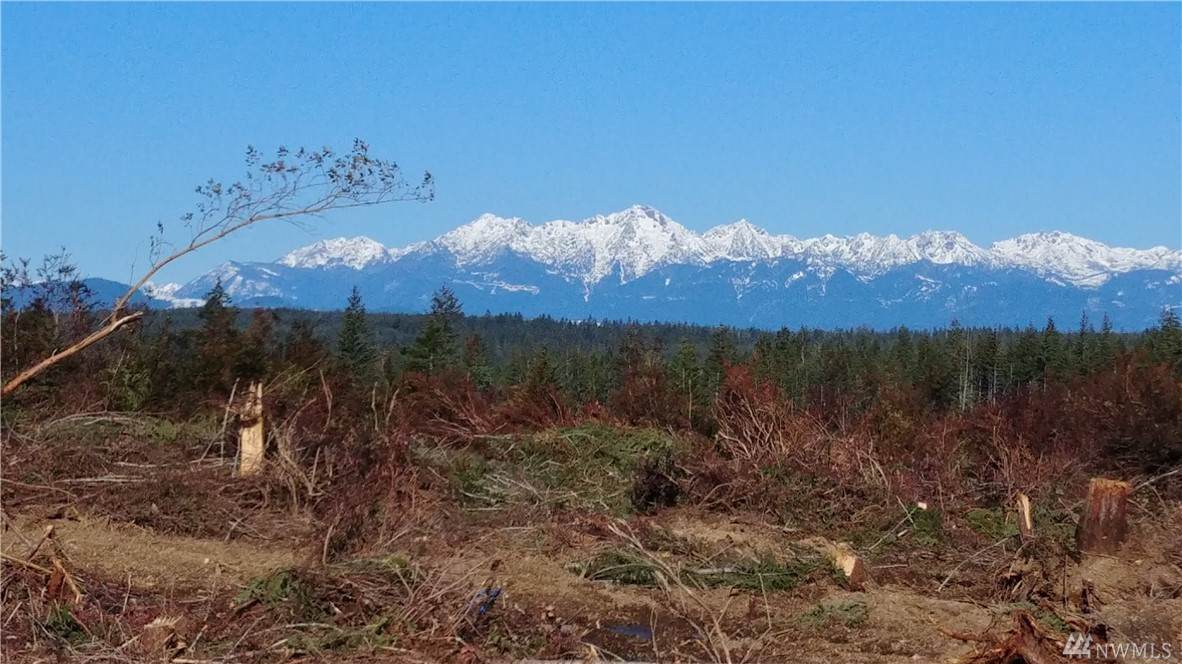 0-lot4 Benson Ridge Rd - Photo 1