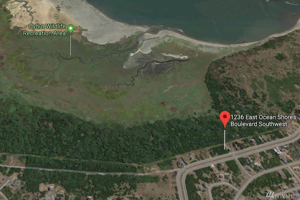 1236 Ocean Shores Blvd - Photo 1