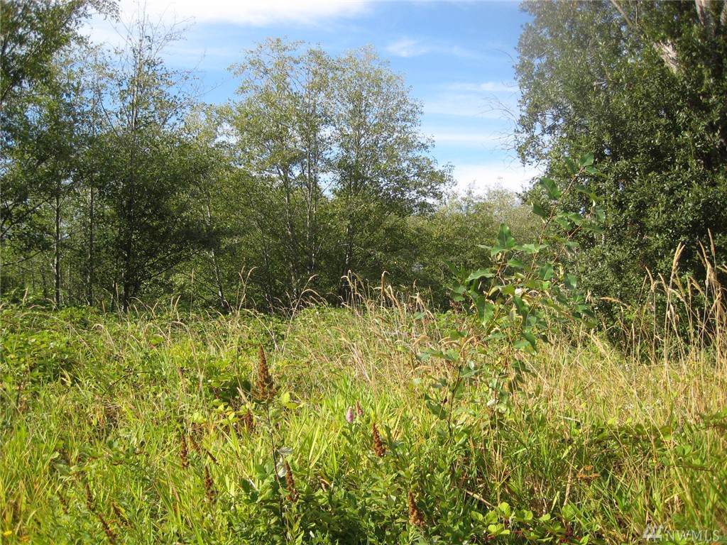 0-XXXX Wynn Rd - Photo 1