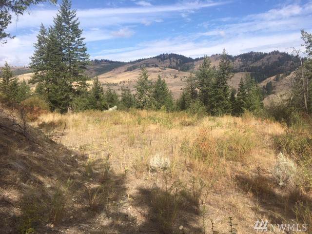 111 Lot 16 Aspen Springs - Photo 1