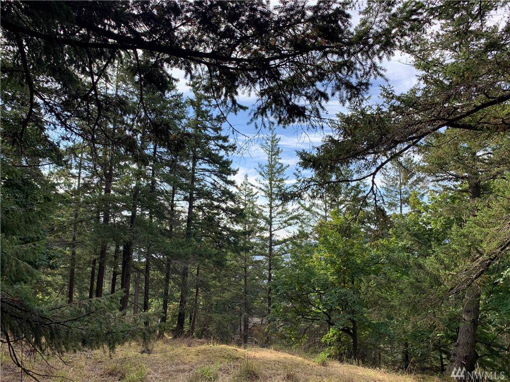 0 Veneda Trail - Photo 1