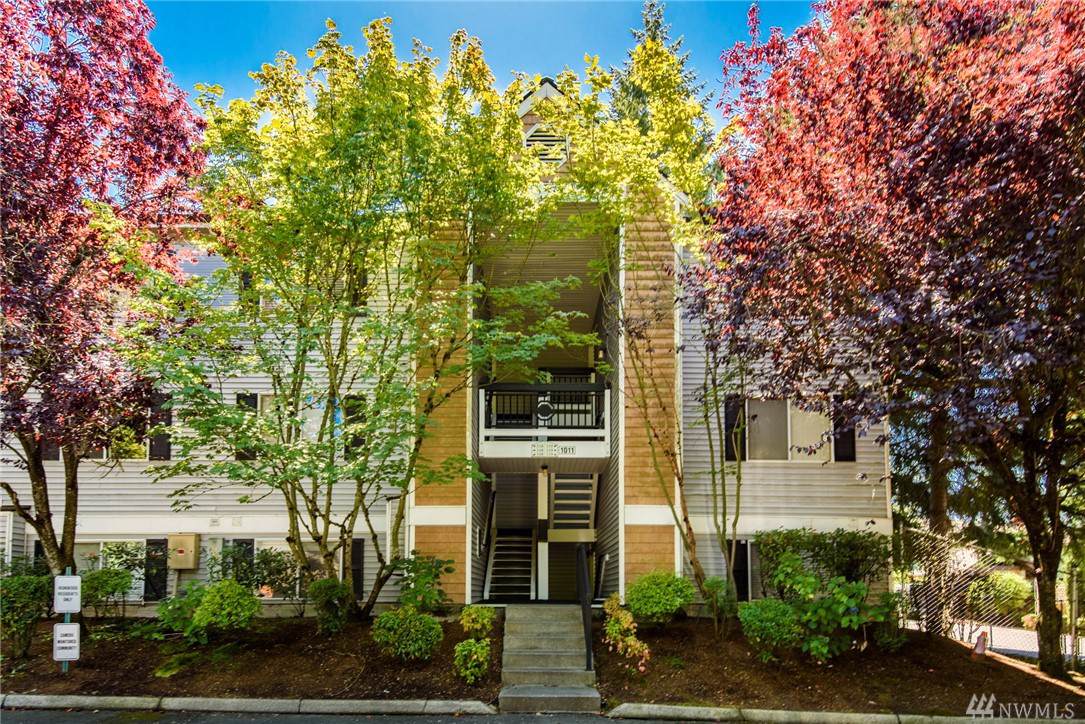1011 156th Ave - Photo 1