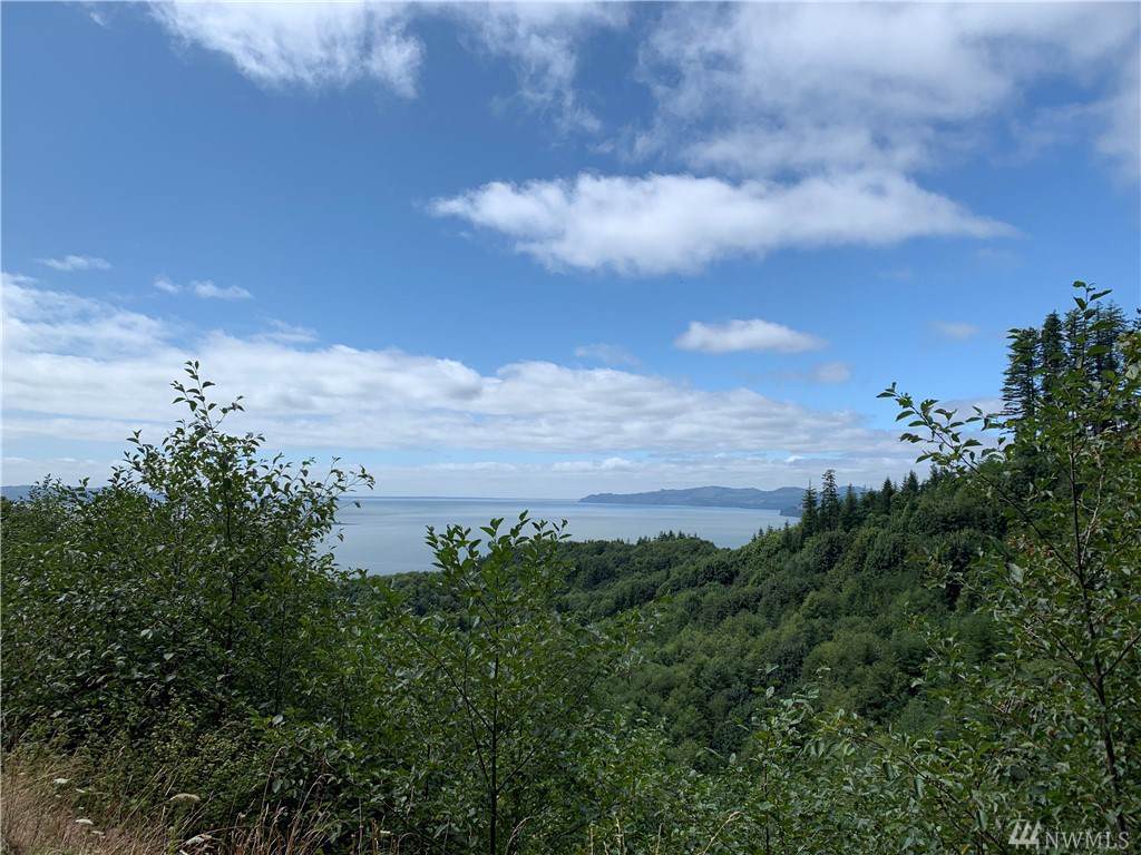 0 Altoona-Pillar Rock Rd - Photo 1
