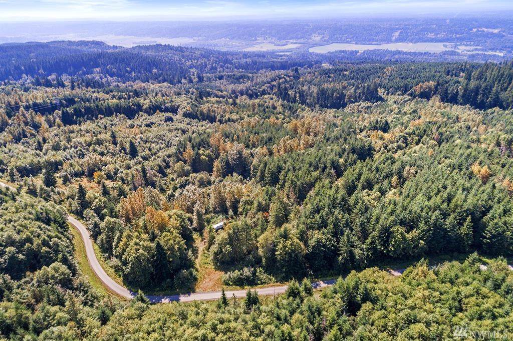 21012 King Lake Rd - Photo 1