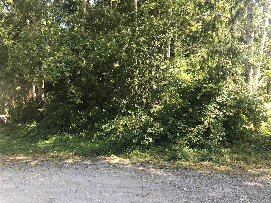 0 229th Lane - Photo 1