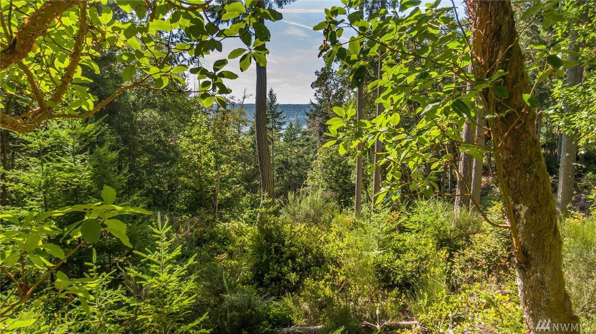 136-XX Madrona Rd - Photo 1