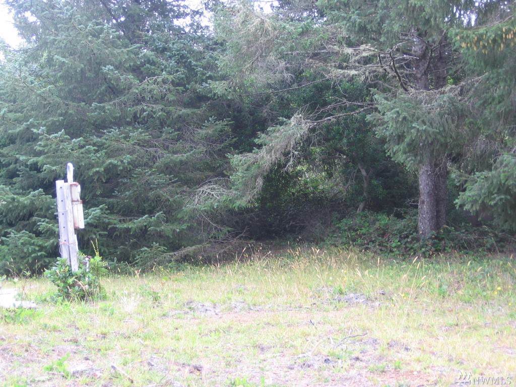 236 Razor Clam Dr - Photo 1