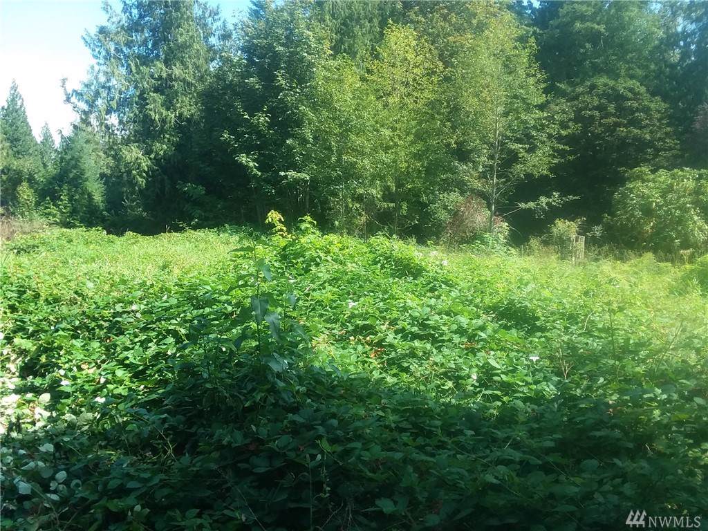 7811 Fir St. - Photo 1
