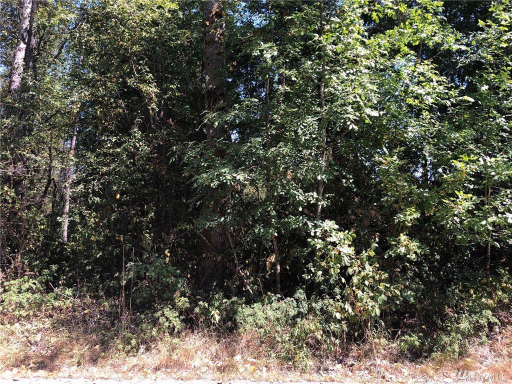 22800 59th St - Photo 1