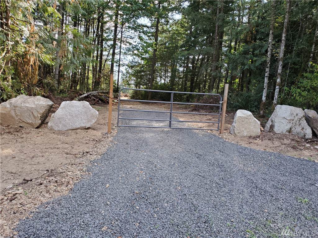 0 Sand Dollar Rd. Rd - Photo 1