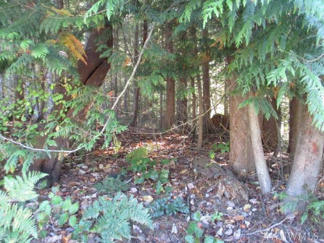 123 Swaney - Photo 1