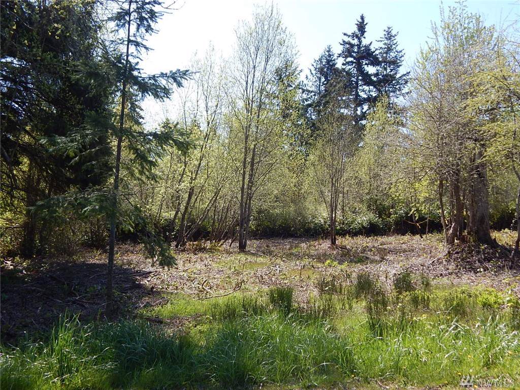 242 Ann Kivley Dr - Photo 1