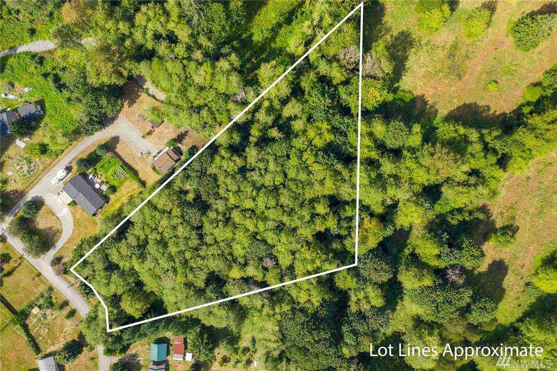 313-xx 370th Ave - Photo 1