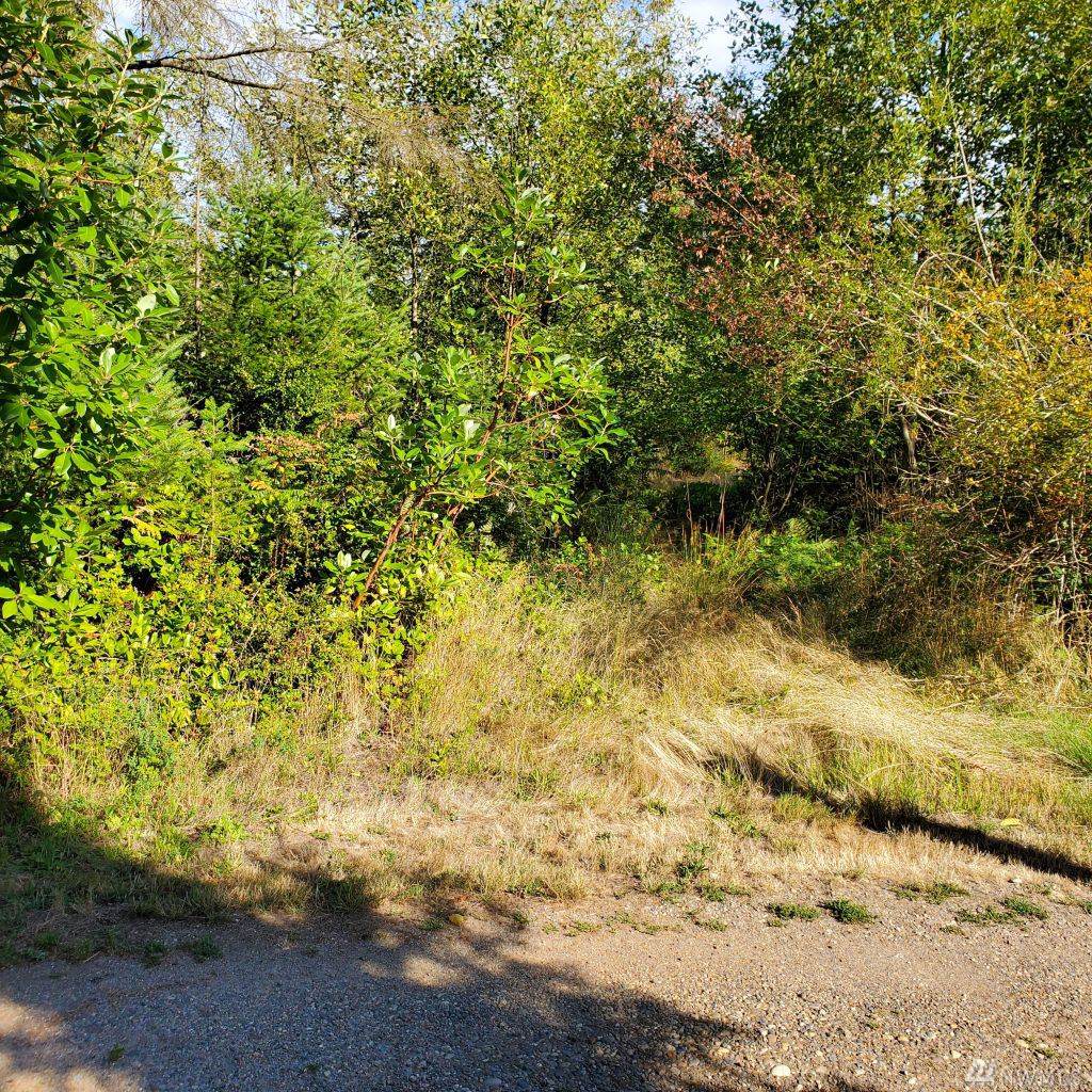 0 Mcmickin Rd - Photo 1