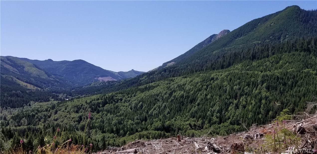 0 County Rd. 17 - Photo 1