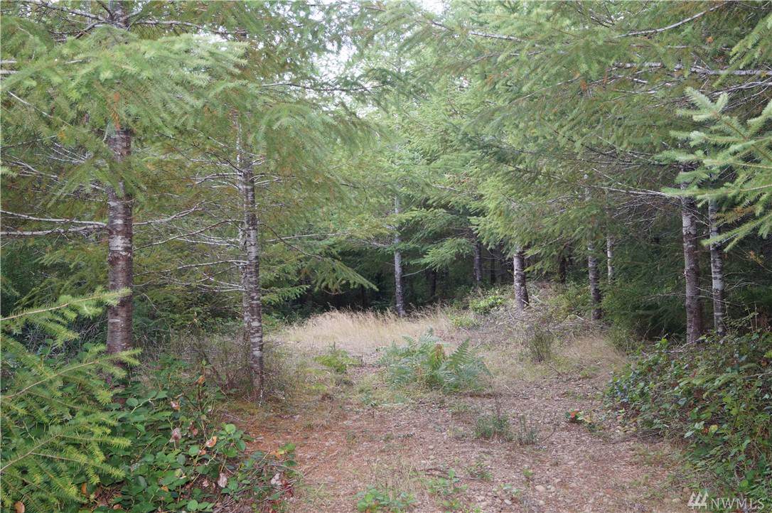 0-Parcel C Benthein Rd - Photo 1