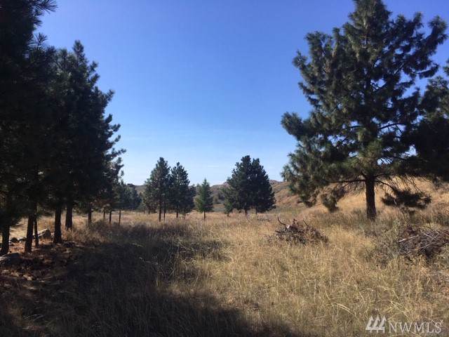 205 Round Up Rd - Photo 1