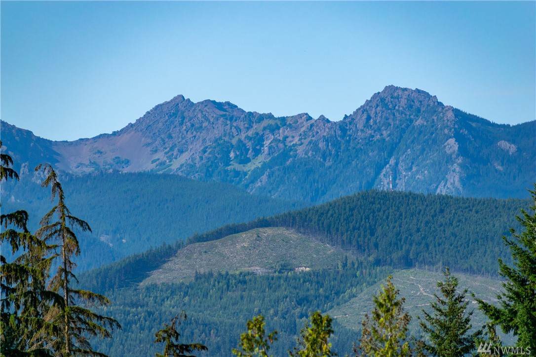 9999-lot 28 Park Forest Dr - Photo 1