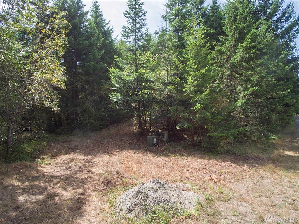 999 Pristine Ln Lot 1 - Photo 1