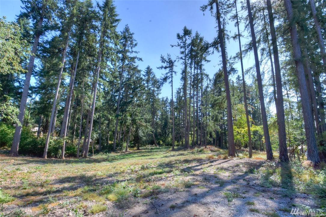 3019 Carpenter Rd - Photo 1