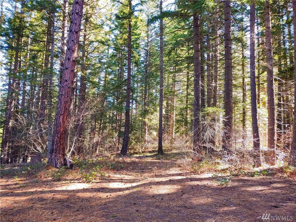 11235 Westside Rd - Photo 1