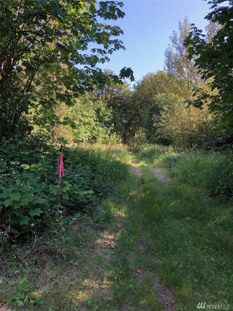 77-XX Jasmine Ave - Photo 1