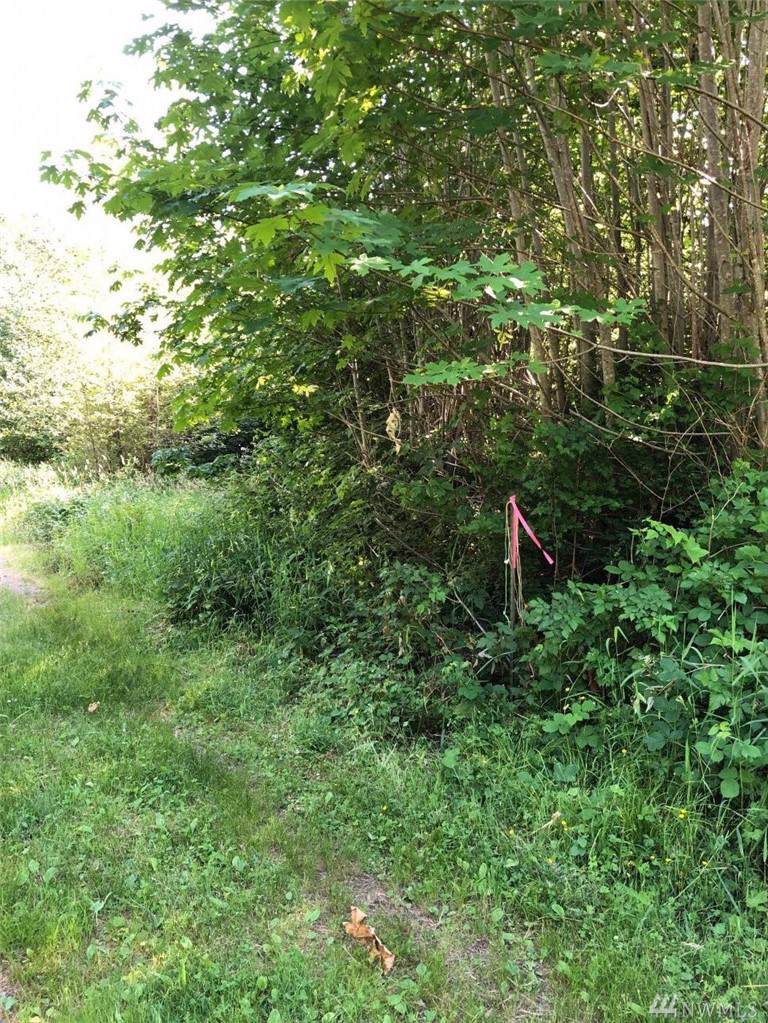76-XX Jasmine Ave - Photo 1