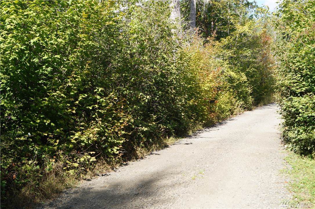 0-Parcel B Benthein Rd - Photo 1