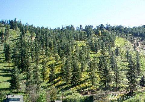 4689 Brisky Canyon Rd - Photo 1