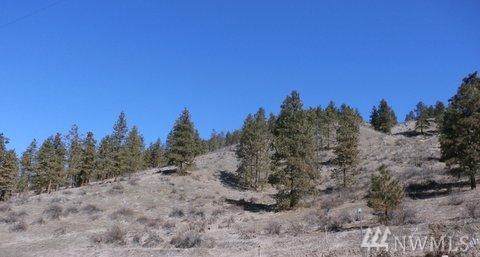 4745 Brisky Canyon Rd - Photo 1