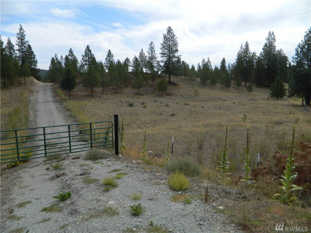 439 Aeneas Valley Rd - Photo 1