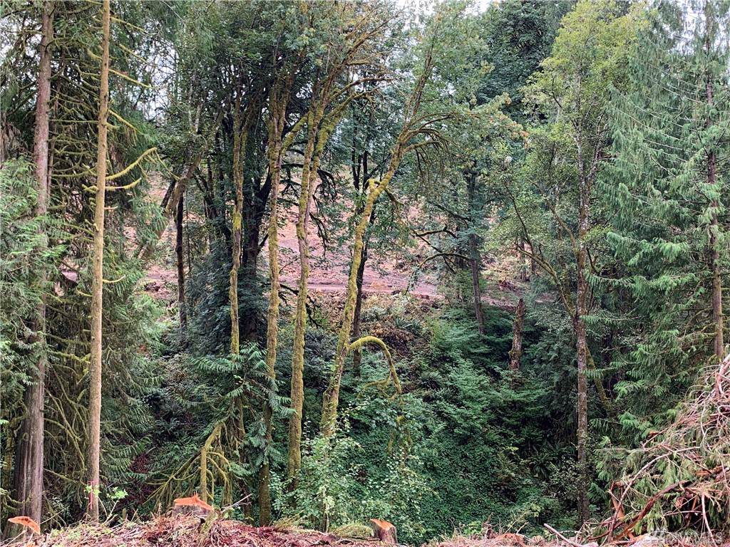 0 Holcomb Rd - Photo 1