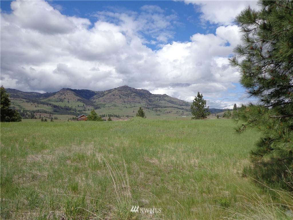0 Hwy 21 - Photo 1