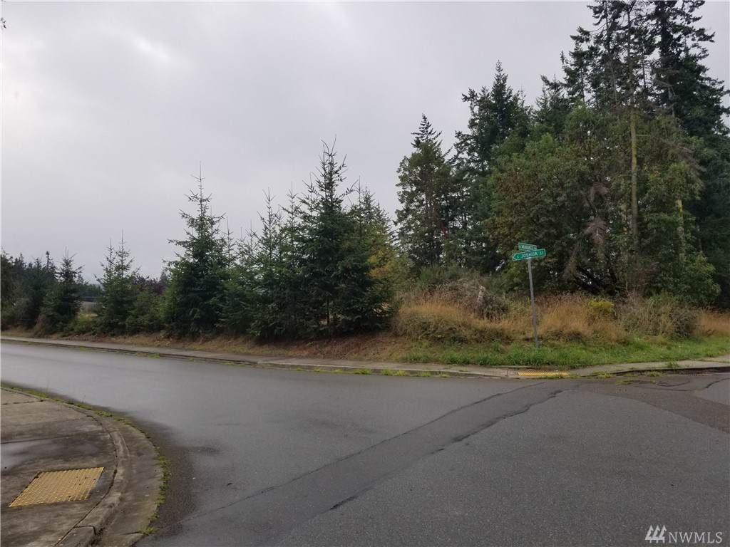 9999 Lot #1 Joshua St - Photo 1