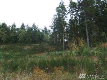 0-xxx 88th St - Photo 1