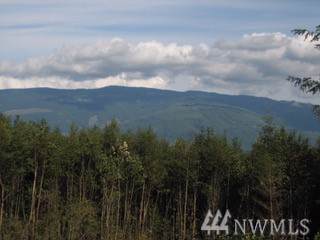 4295 Humphrey Hill Road - Photo 1
