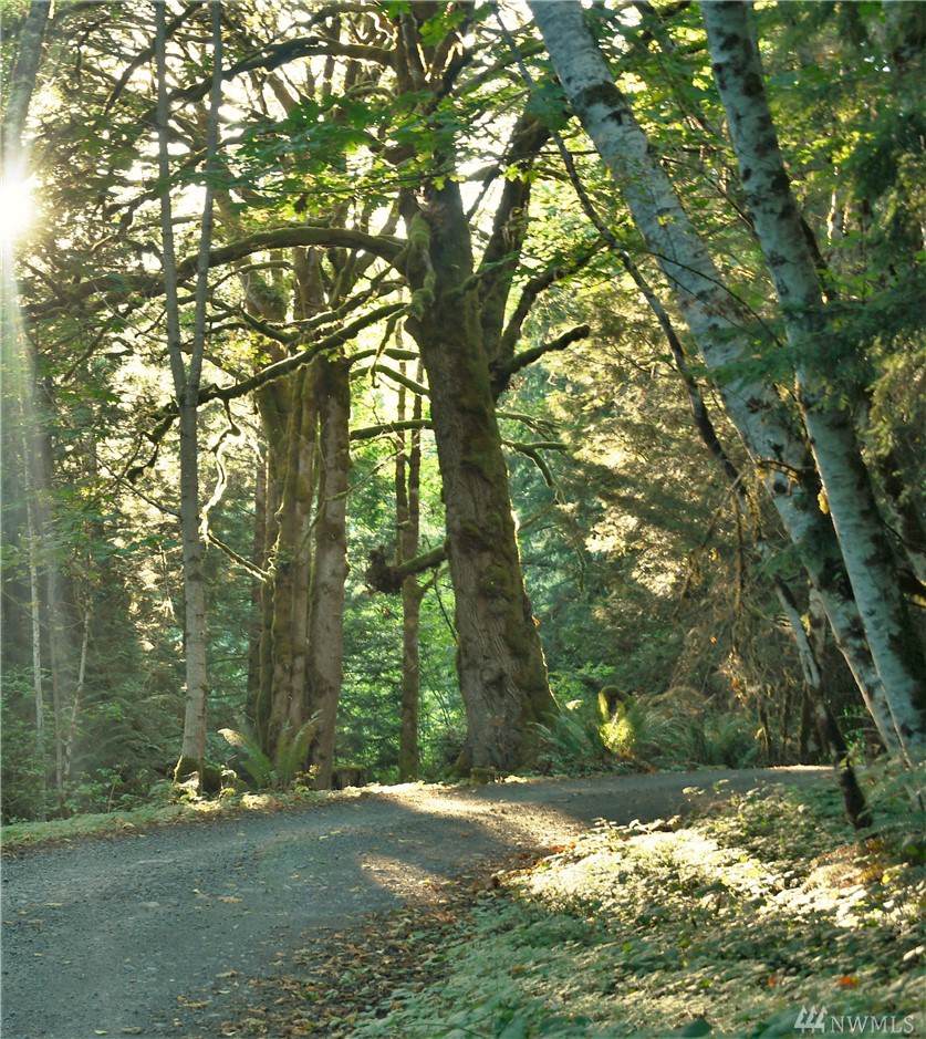 9999 Highway 101 - Photo 1 9999 Highway 101 - Photo 1