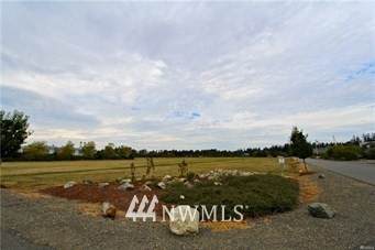 2195 Buchanan Loop - Photo 1